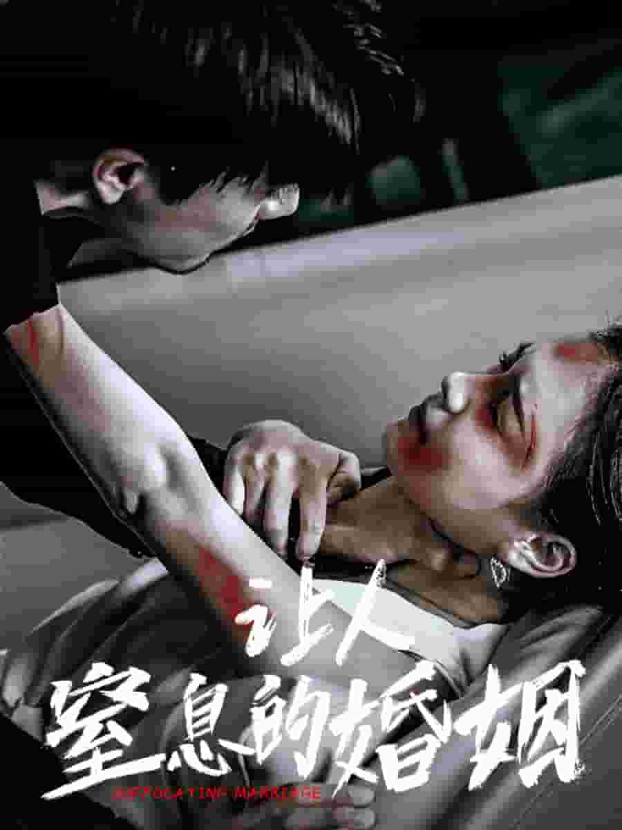 让人窒息的婚姻第12集
